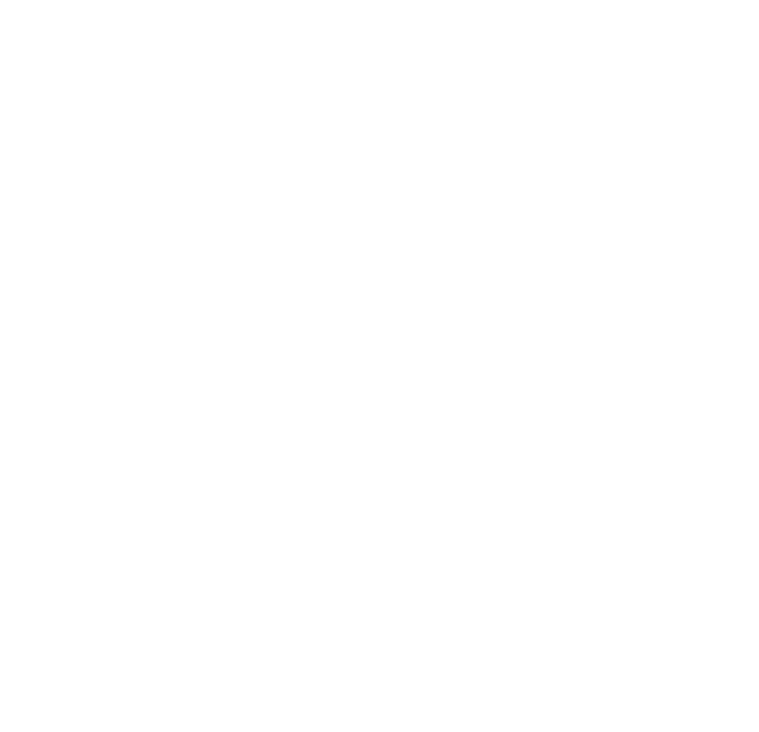 Hawks Logo